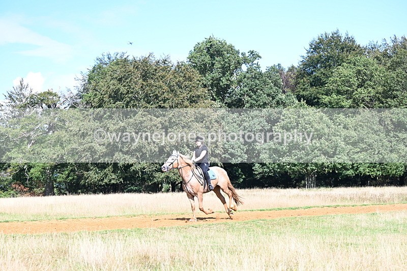 DSC_0140 - Time at Statue 15:58 to 16:05