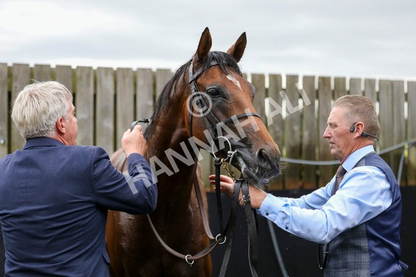 210824-Race 4-City Of Troy-7367 - Race 4 3.35pm Juddmonte International Stakes