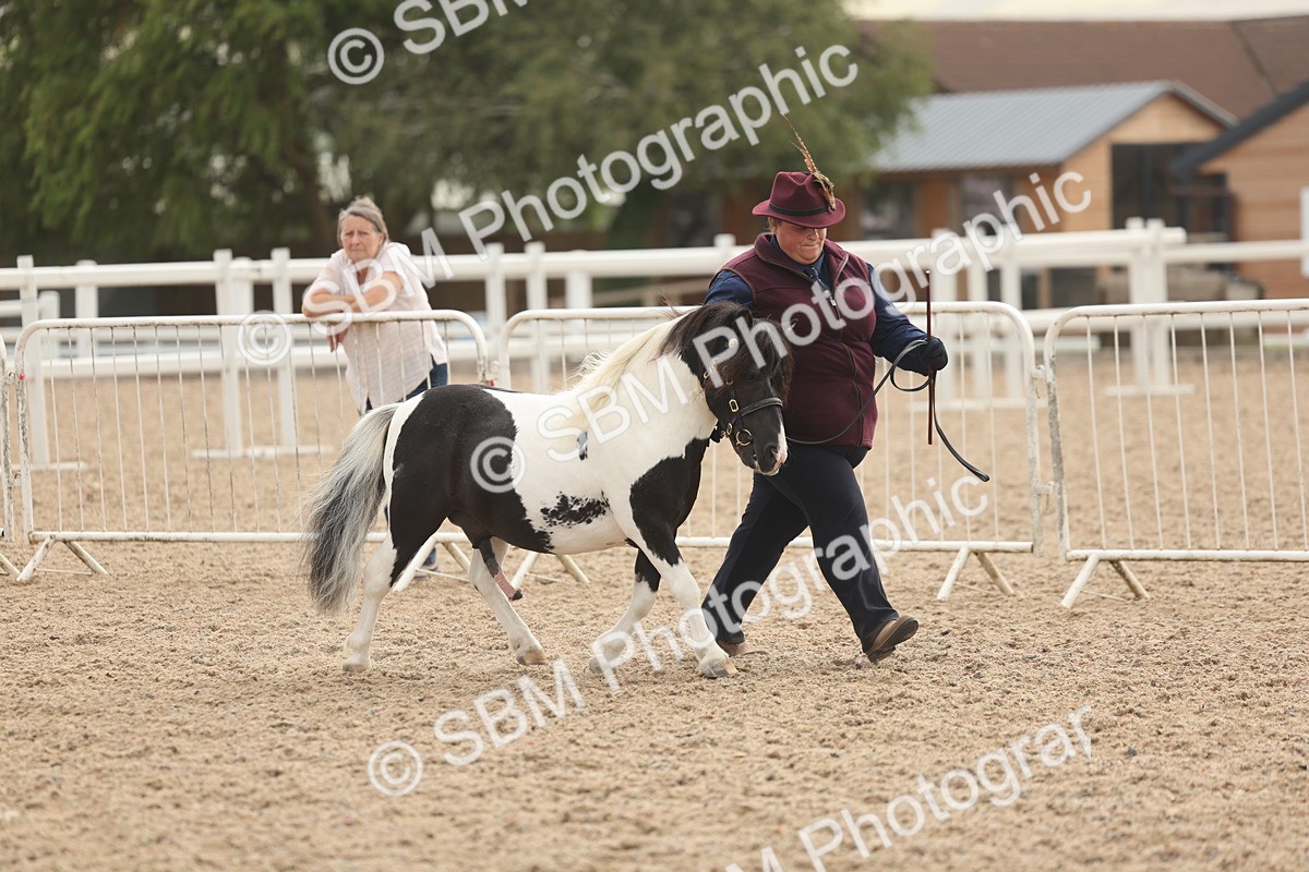 SBM_03222 - Class 16 - IH M&M Wildcard