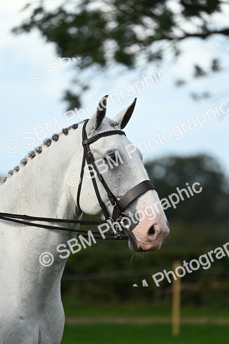 SBM_02049 - S2 - TSR Ridden Horse Showing