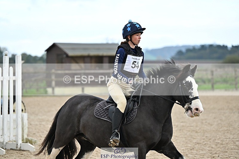 241110-133952-00904 - 60-65cm Arena Eventing