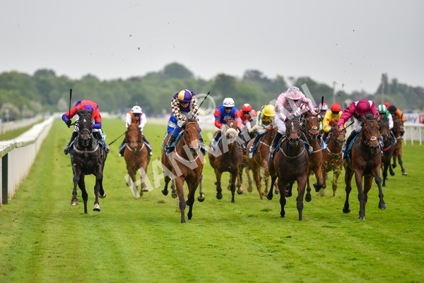190523-Race 6-Eligible-1015 - Race 6 4.45pm Yorkshire Equine Practice Handicap