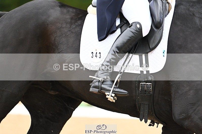 231021-115234-15007 - 343-MIDNIGHT.ROLLERCOASTER-Alison.Lidstone-DR