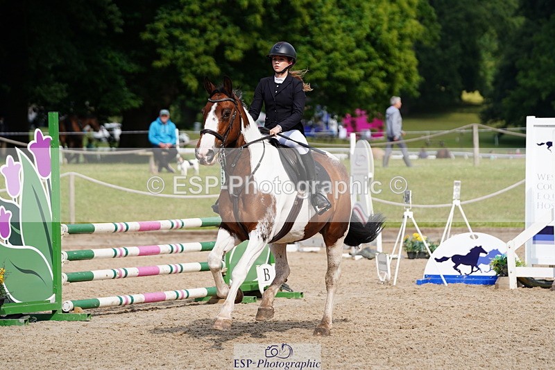 250615A-091606-09797 - Class 43 British Novice 90cm Open