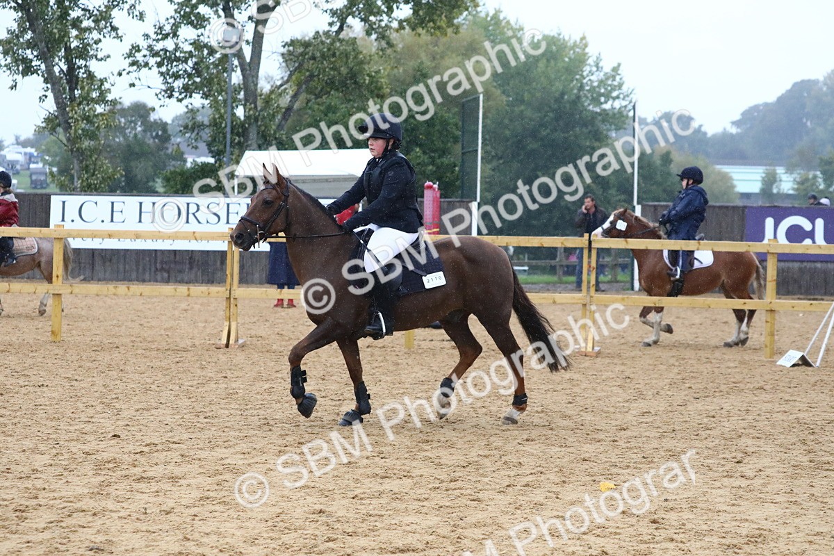 SBM_71477 - J4 - Mini Tour Junior Pony 45cm Championship