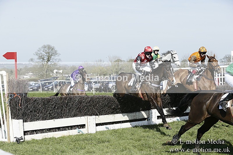 PtP 260317 267 - Mendip Farmers Point-to-Point Ston Easton 26/03/17