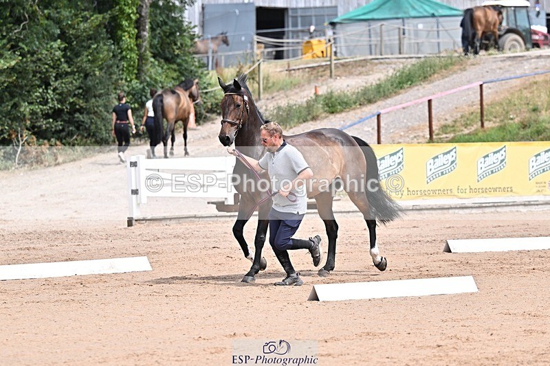 250716-125644-00240 - Trot Up 12.30 to 1.30