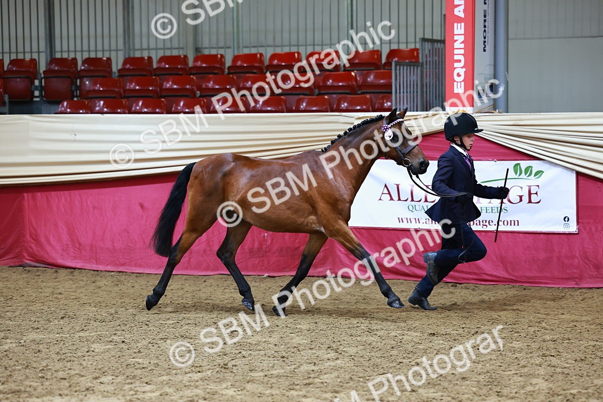 SBM_22124 - Class 902 - Supreme Final - IH Diamond