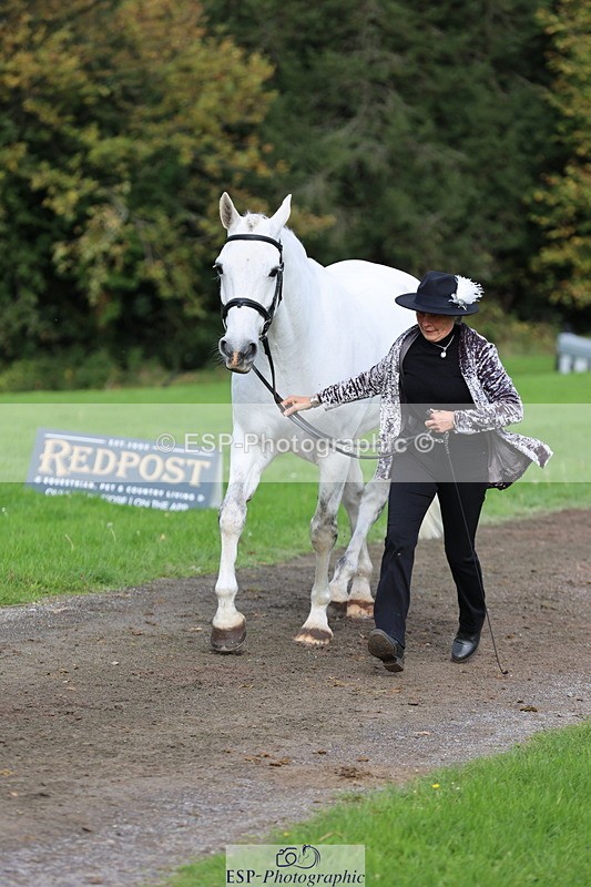 251026A-120709-25896 - G-522-Sue.Parkes Inc Trot Up