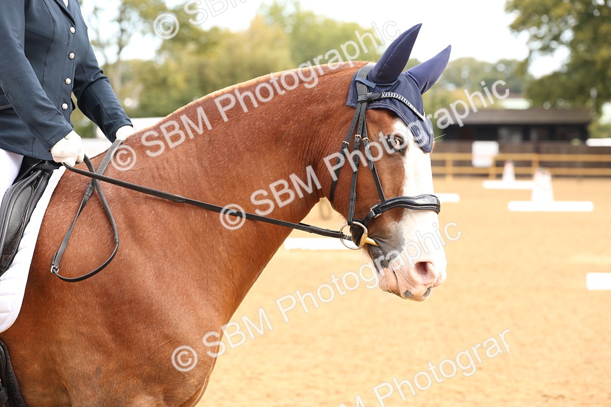 SBM_40626 - D6 - Small Tour Championship Intro 4
