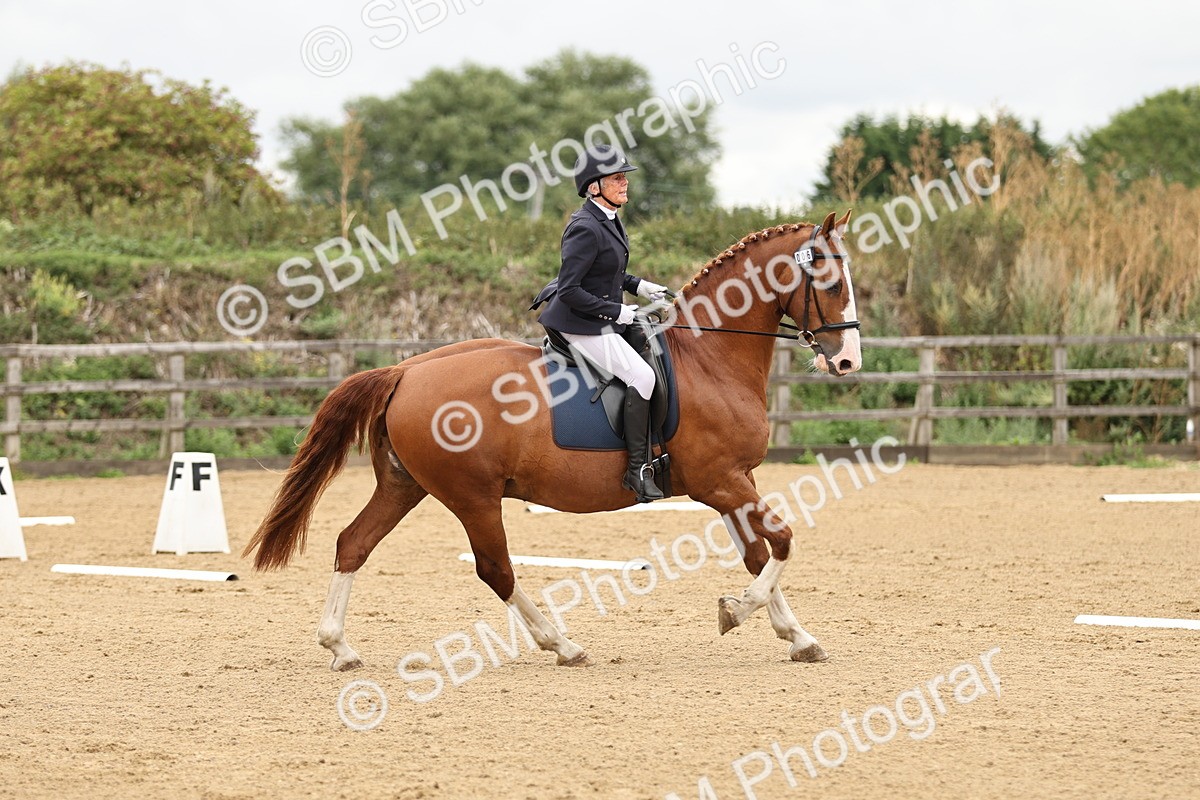 SBM_002176 - Prelim 1