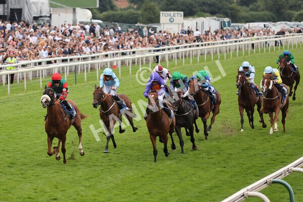 yr24072021r7-44 - Race 7 5.35pm The Sporting Life Fast Results Stakes