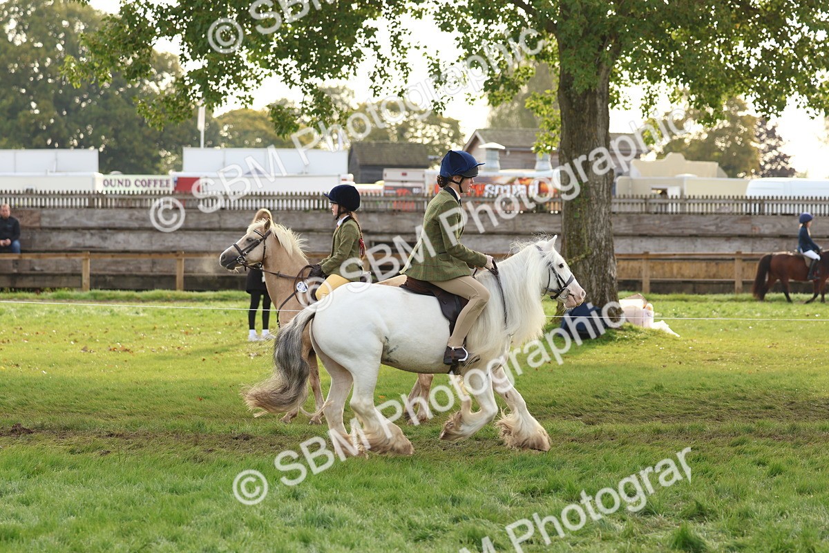 SBM_56596 - S40 - Starters Ridden Showing