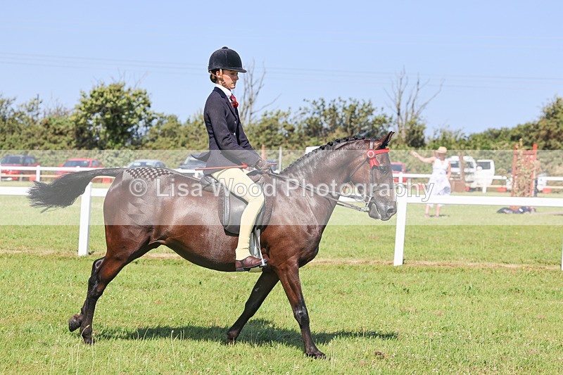 IMG_1919 - Class 33: Show Pony 148cm and under