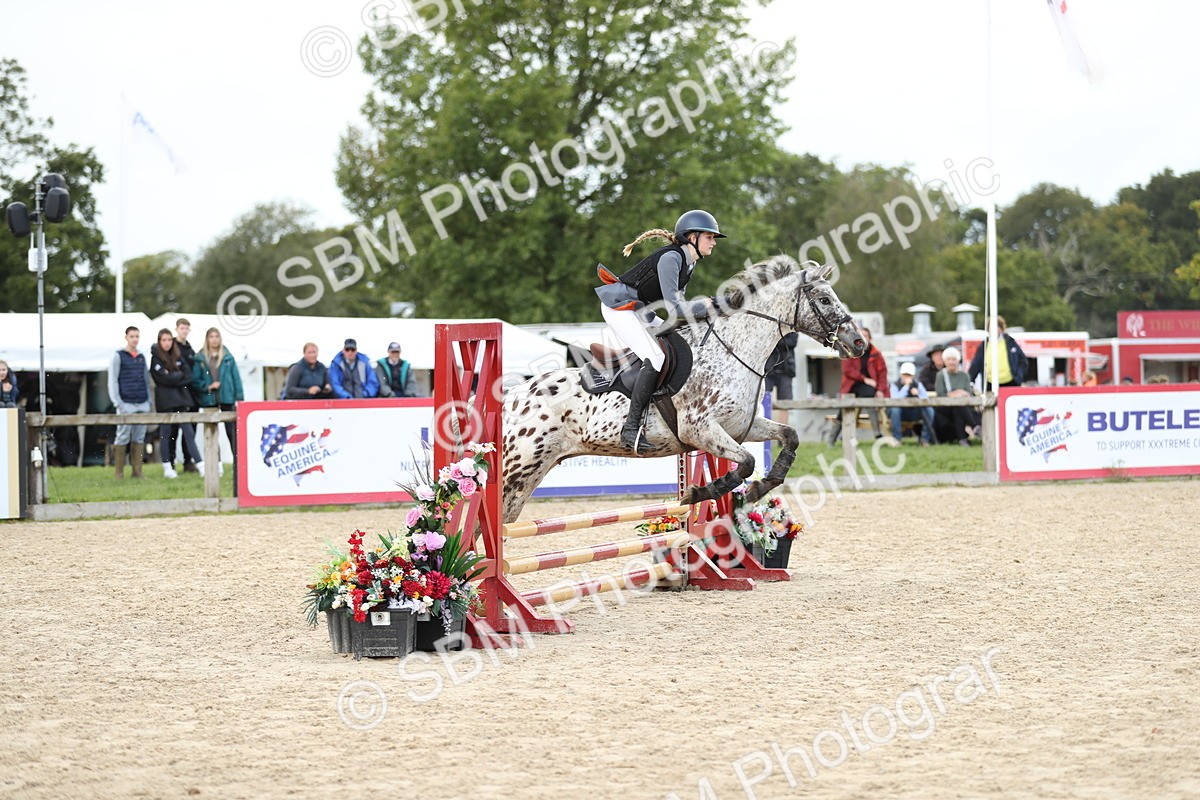 SBM_40275 - J21 - Junior Horse 60cm Championship