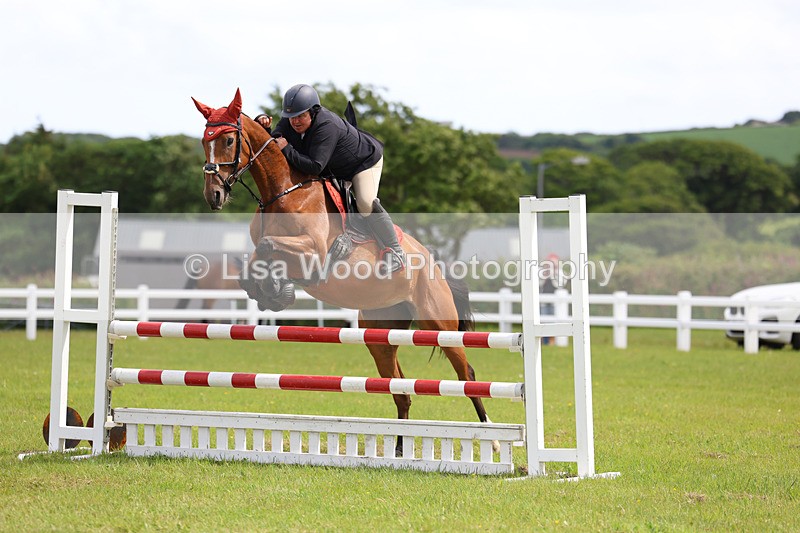 3E7A7731 - Class 13: Senior British Novice/90cm open