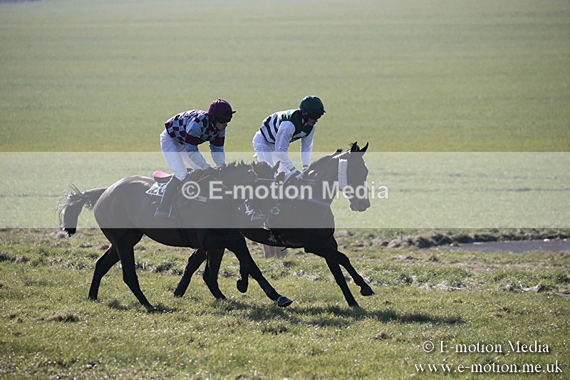 PtP 240218 8 - Vine & Craven Hunt Point-to-Point Barbury racecourse 24/02/18