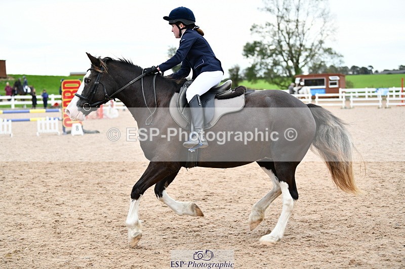 241013B-153918-01952 - Cls 6 80cm