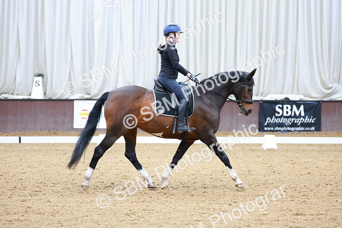 1I0A0740 - Class 3-6 - Prelim 1-Novice 2