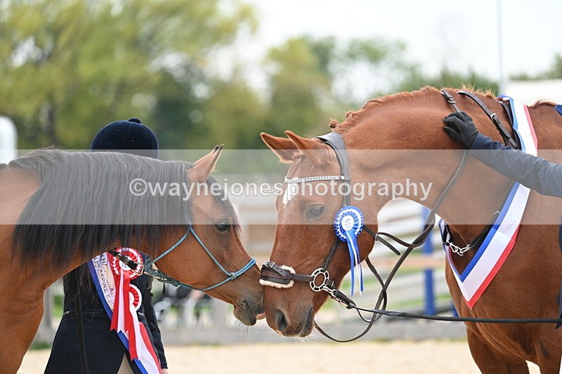 WJ7_1985 - Class 1 & Champs