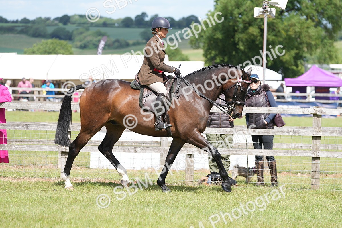 SBM_16279 - Class 105-106 - RIHS Riding Horses
