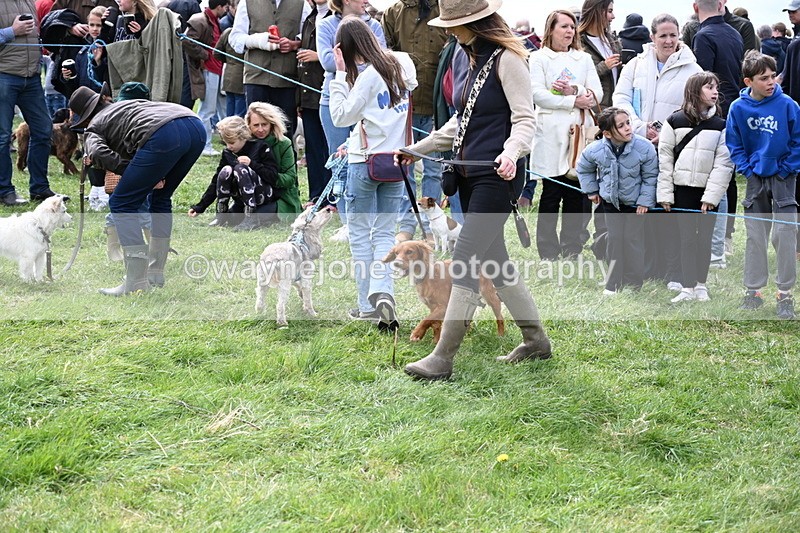 WJ6_8297 - Class 4 Prettiest Bitch