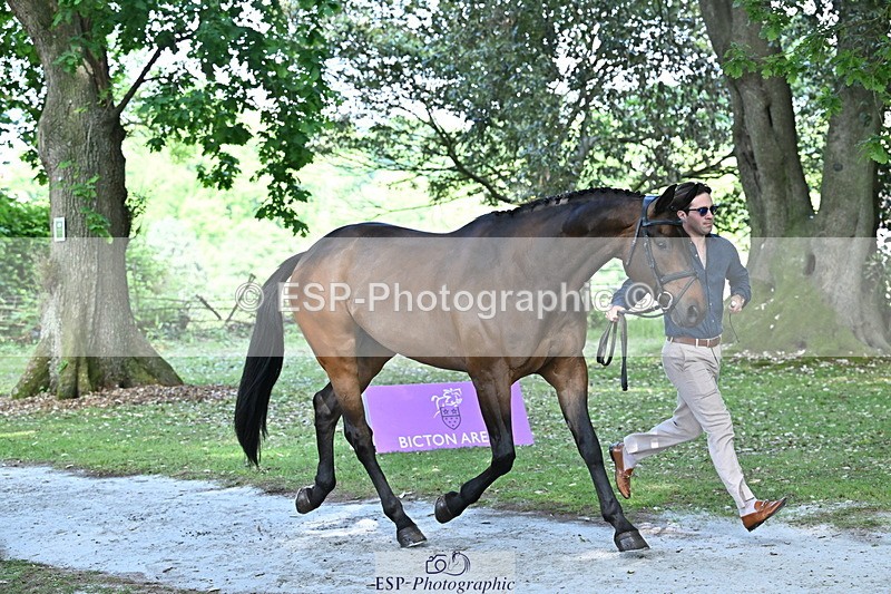 250521A-153432-00601 - B-317-Rupert.Batting-COOMBELAND.TALISMAN