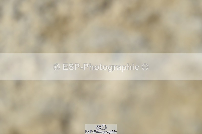 230528-134002-16052 - 3* Presentations