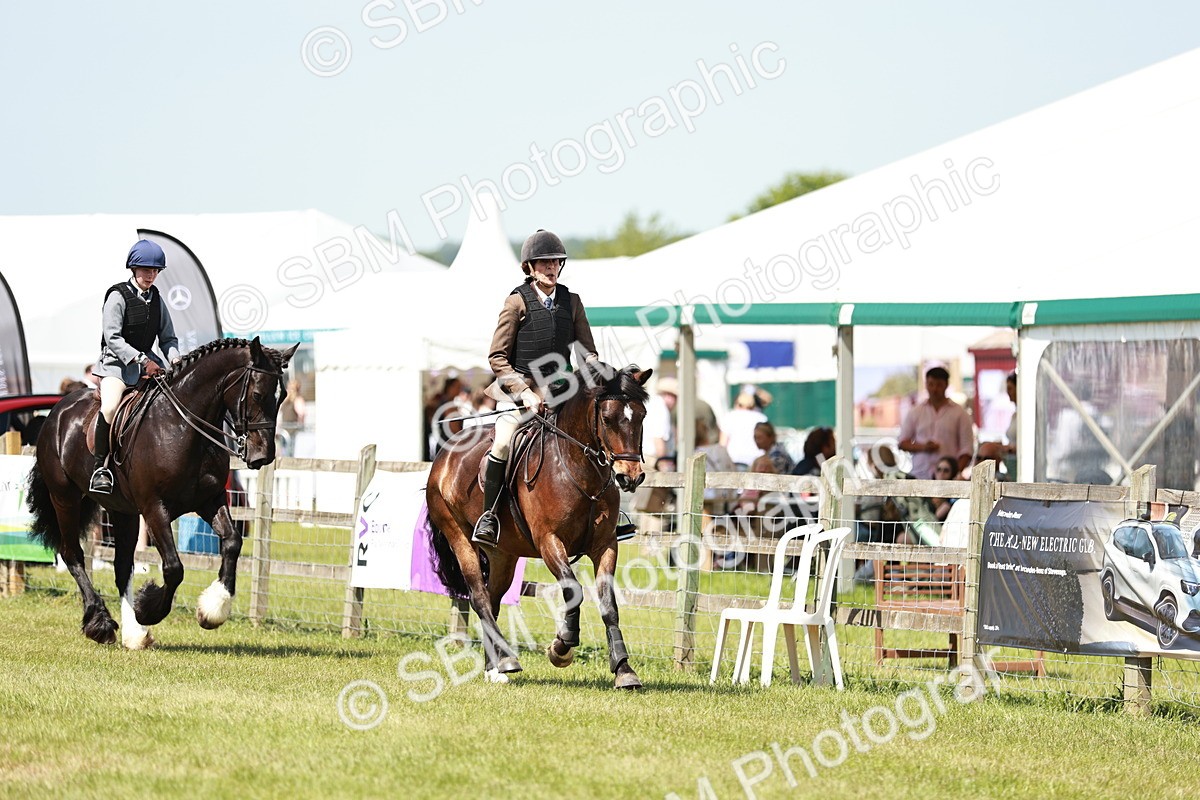 SBM_16437 - Class 110-111 - Training Stakes (70cms 80cms)