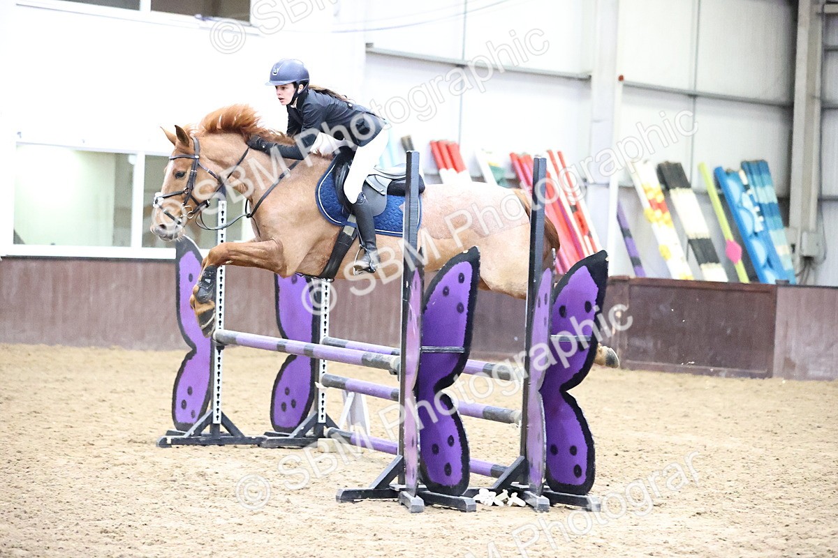 SBM_000273 - Class 2 - Pony British Novice - 80cm