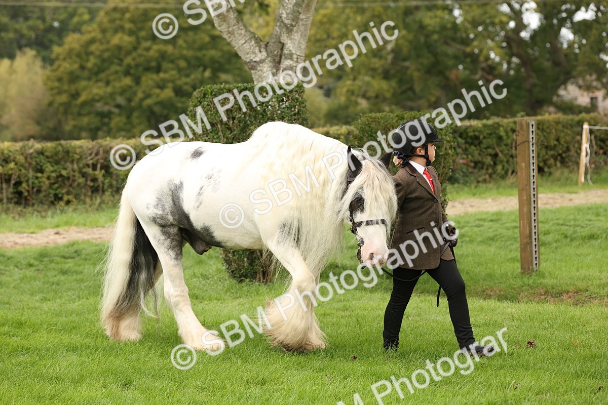 SBM_59210 - S57 - Traditional Cob In Hand