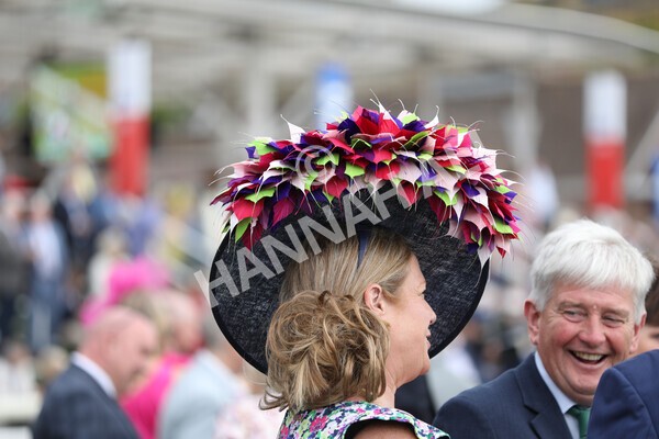 yr18082022r2-19 - Race 2 2.25pm Goffs UK Harry Beeby Premier Yearling Stakes