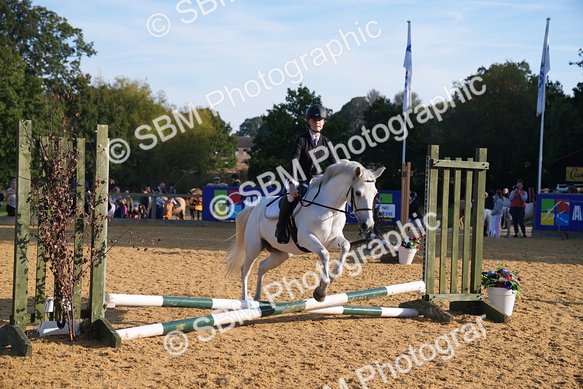 SBM_59054 - J63 - Minis Clear Round 30cm 40cm