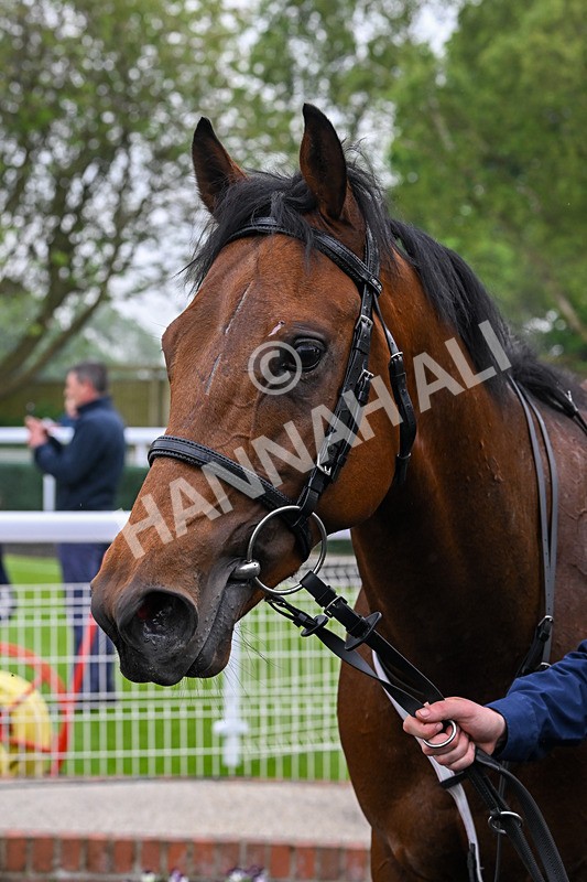 140524-Race 1-Moving Force-1372 - Race 1