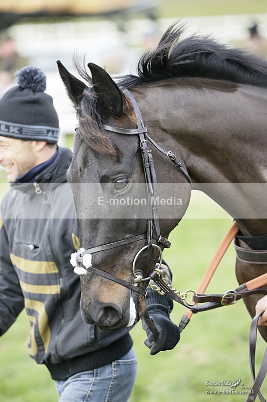PtP 281121 0372 - Hursley Hambledon Point-to-Point Larkhill 28/11/21