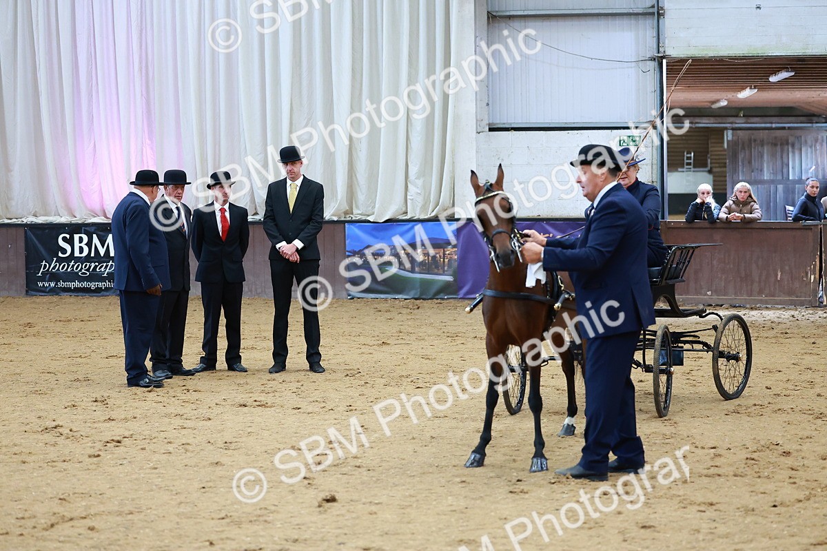 SBM_000661 - Class 9 - HHS Championship Intl Hackney Pony to a Showwagon