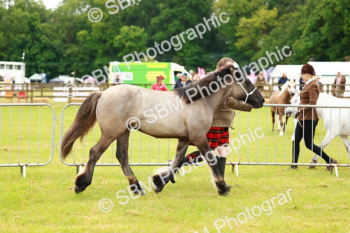 SBM_00370 - Class 58-67 - M&M Non Welsh Pony In hand