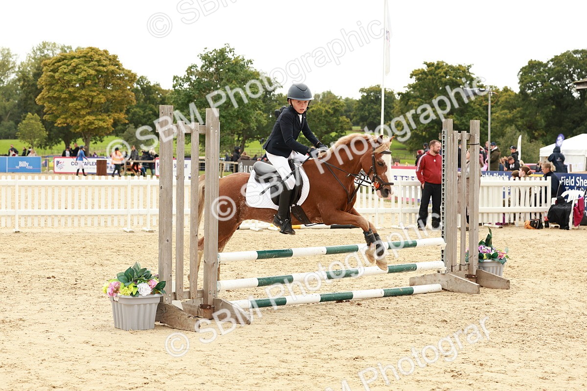 SBM_63590 - J12 - Junior Pony 55cm Championship