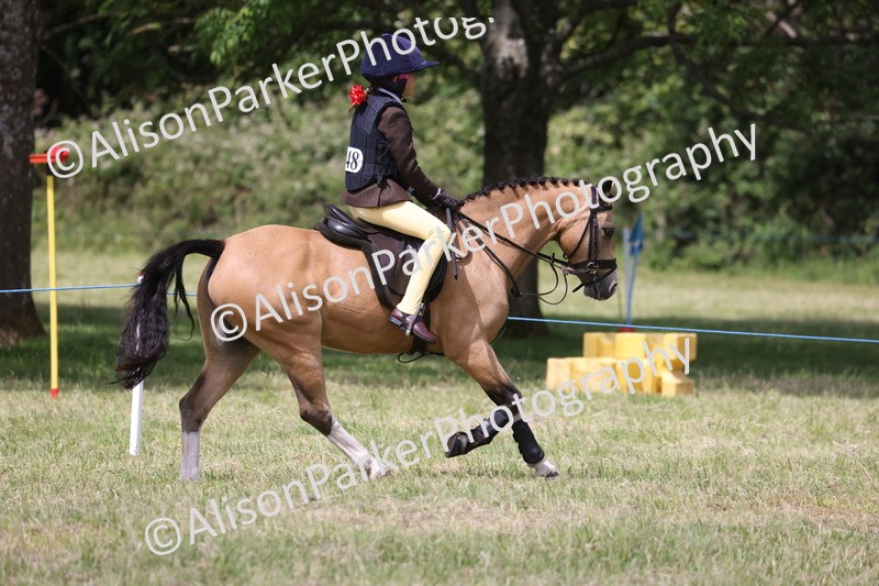 20260614-1914 - Class 21 - Novice Working Hunter Pony