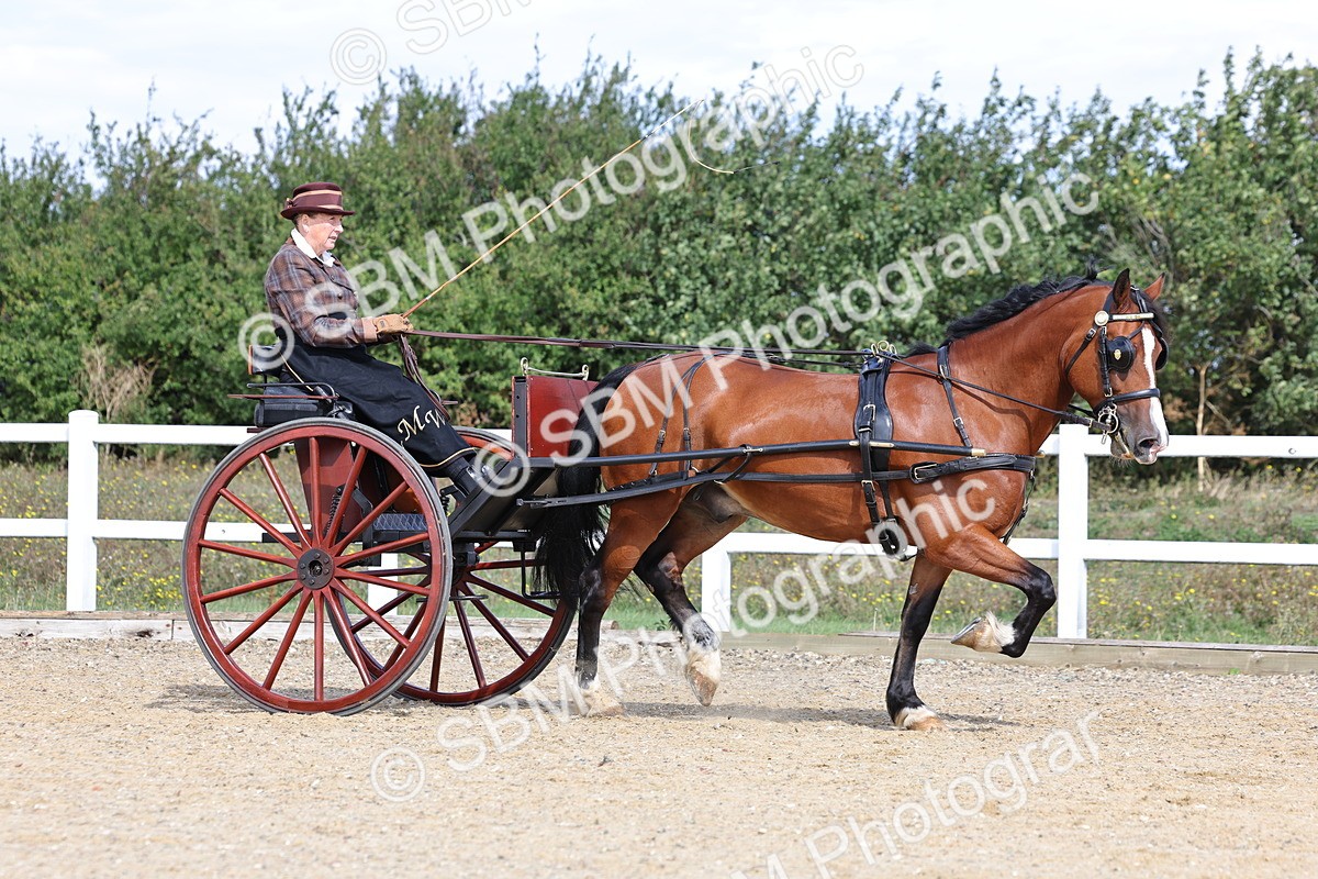 SBM_000902 - Class 8 - Novice Horse or Pony to any vehicle