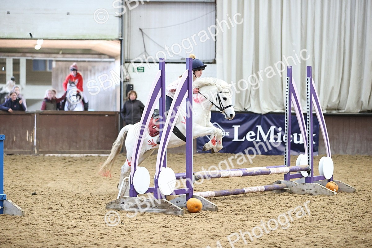 SBM_001427 - Class 3 - Horse & Hound 60cm