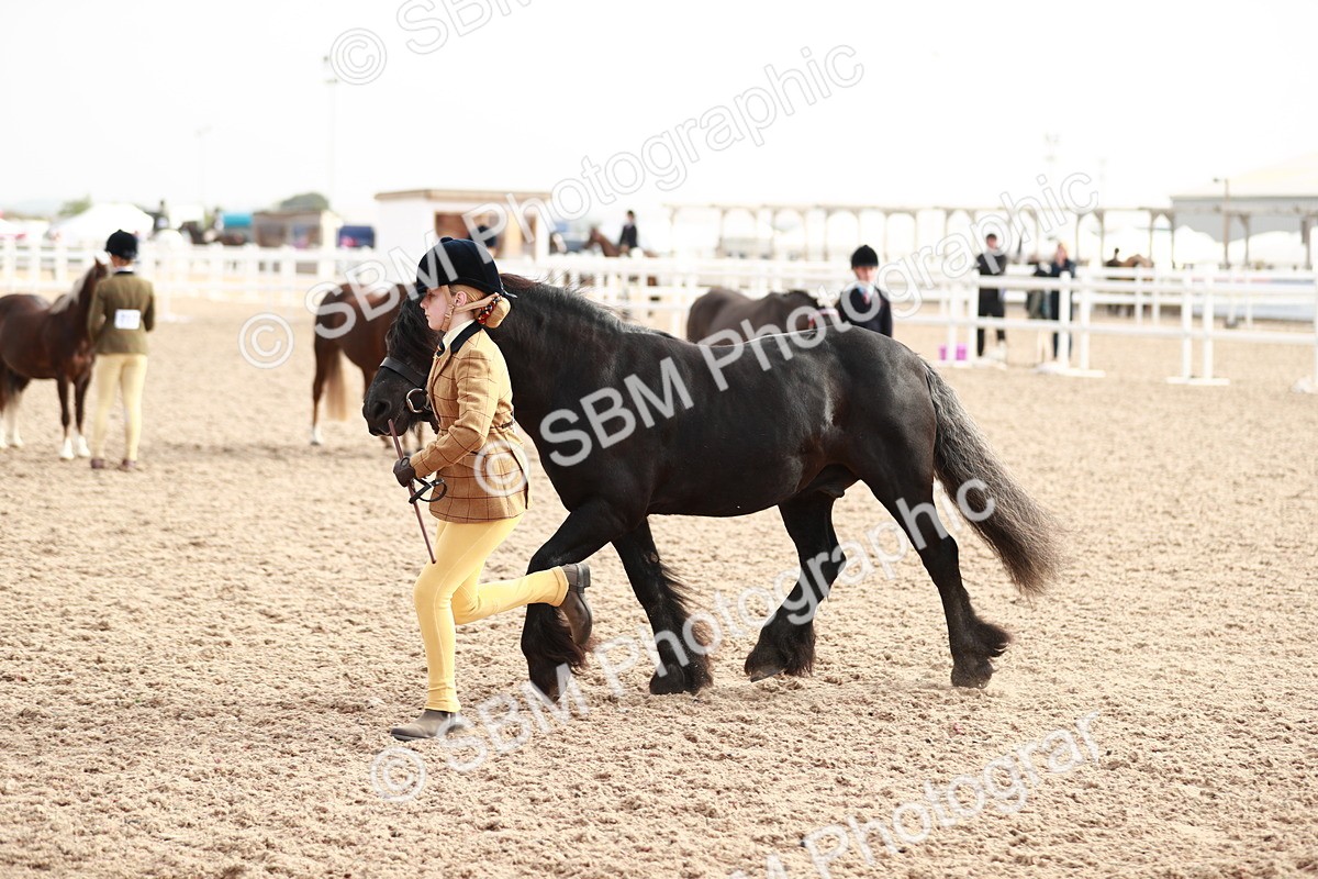 SBM_10546 - Class 204 Young Handler, 11-16 years