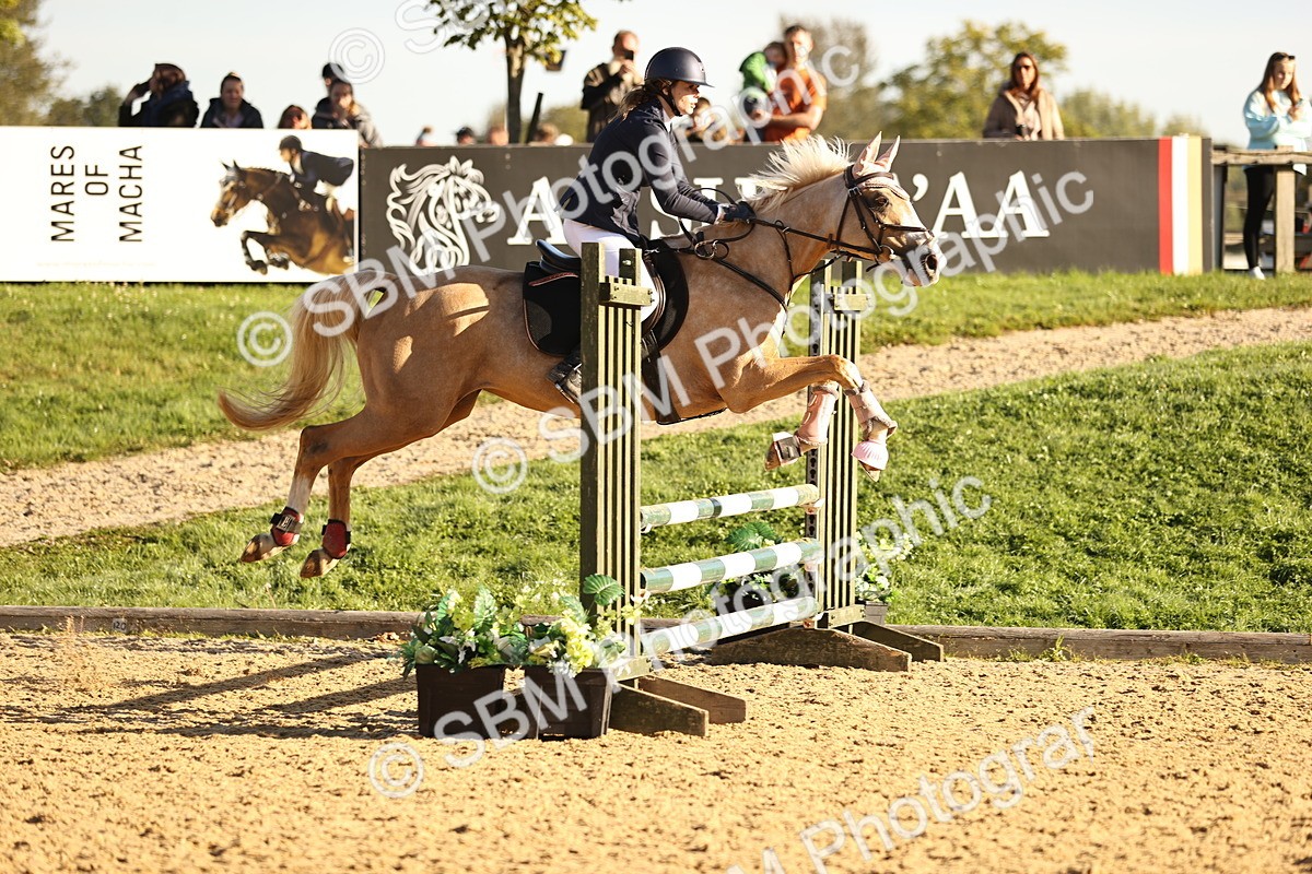 SBM_34618 - J38 - Senior 80cm Championship