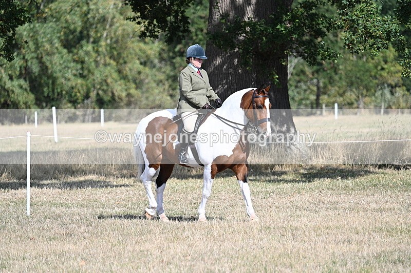 WJ7_2671 - Class 8 Ridden Tack & Turnout