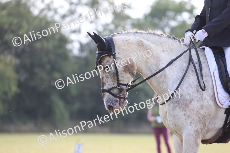 20250731-0603 - Class 1 - Intro 4