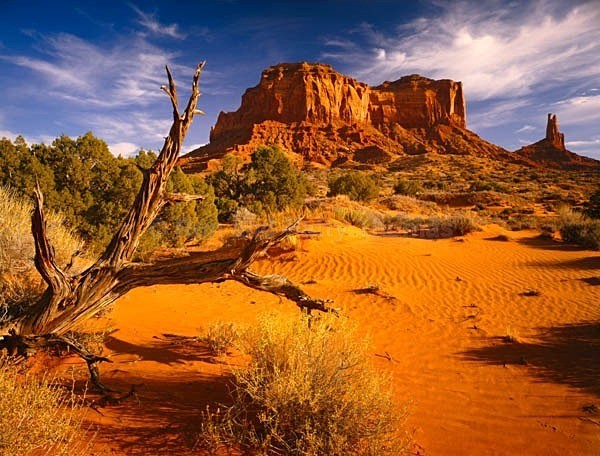 Istock #14857261 - Southwest Deserts