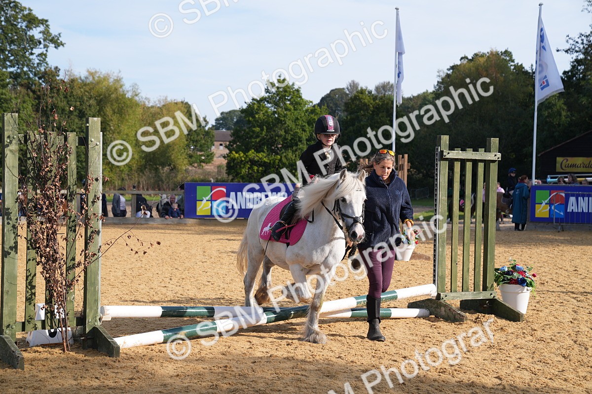 SBM_61321 - J1 - Mini Tour Junior Pony Lead Rein 30cm Championship