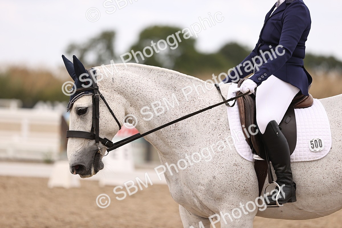 SBM_05940 - Class 37 Novice 5