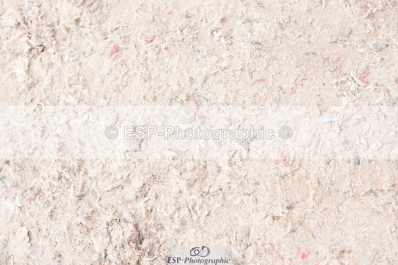 250720-151809-20886 - Cls 32, 1 Star 6yr old Final