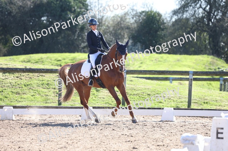 20260318-0524 - Class 5 - Novice 2